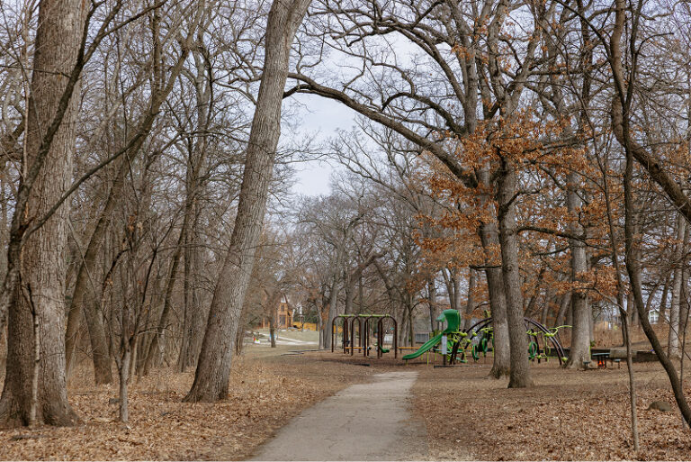 A natural playground to inspire movement, imagination, and joy.